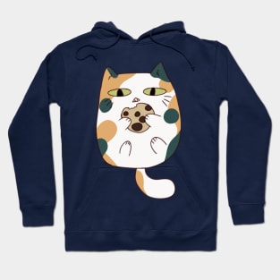 Calico cat eating cookie Hoodie